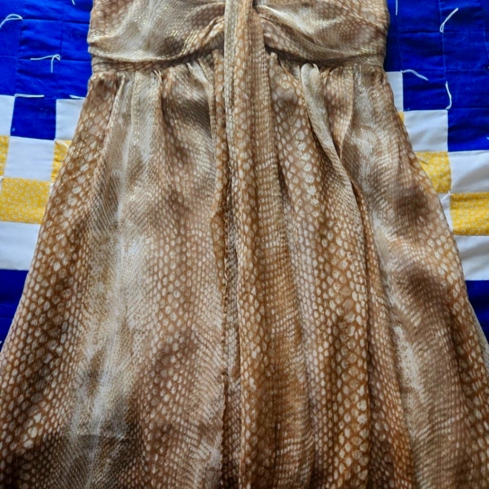 Express womens size 6 dress